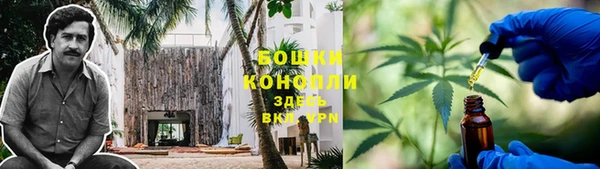 гидропоника Горняк