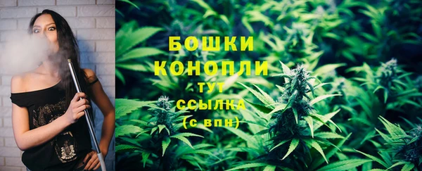 спайс Гусиноозёрск
