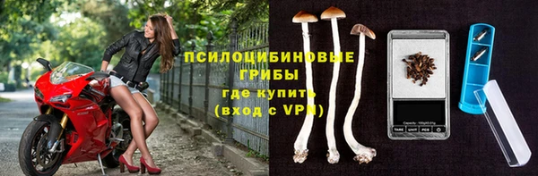 спайс Гусиноозёрск
