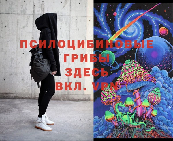 ГАЛЛЮЦИНОГЕННЫЕ ГРИБЫ Чегем
