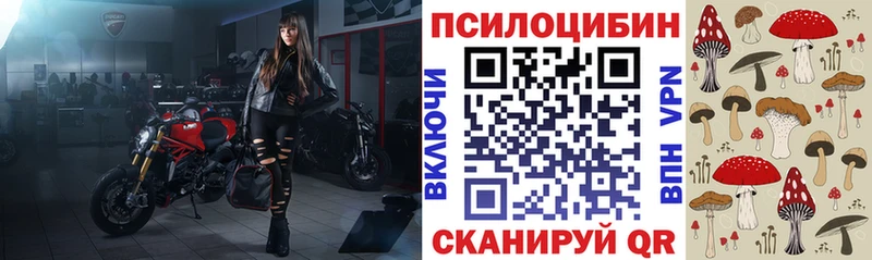 купить   Радужный  Галлюциногенные грибы мицелий 