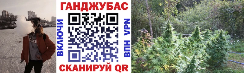 Конопля планчик  KRAKEN   Радужный 